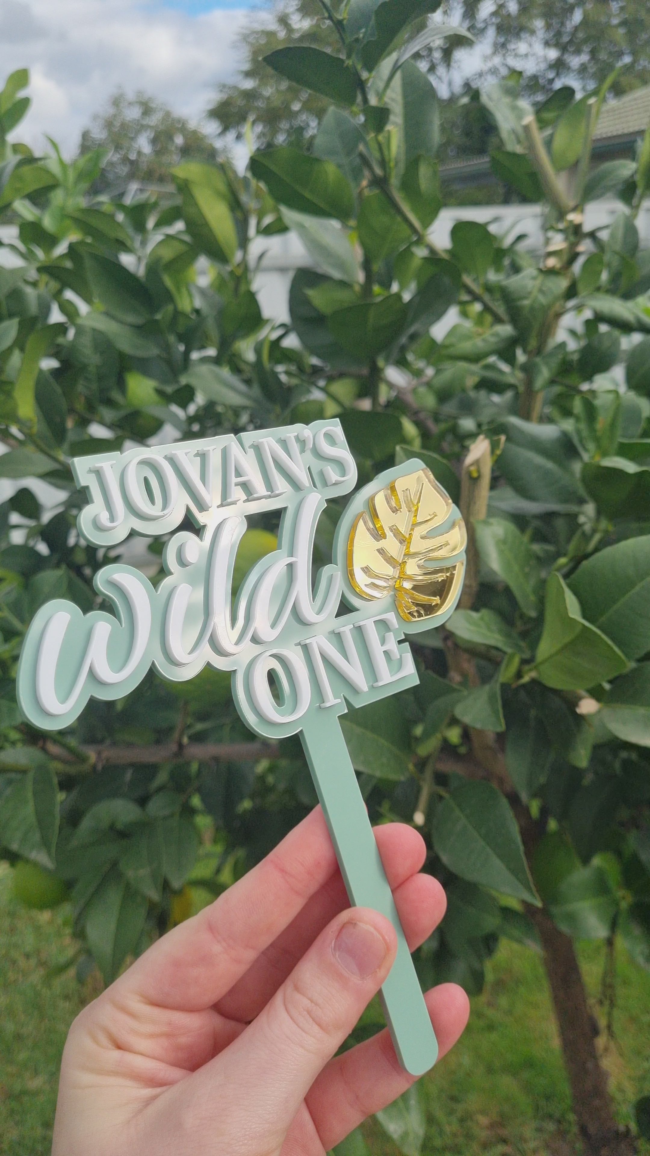 Wild ONE Cake Topper