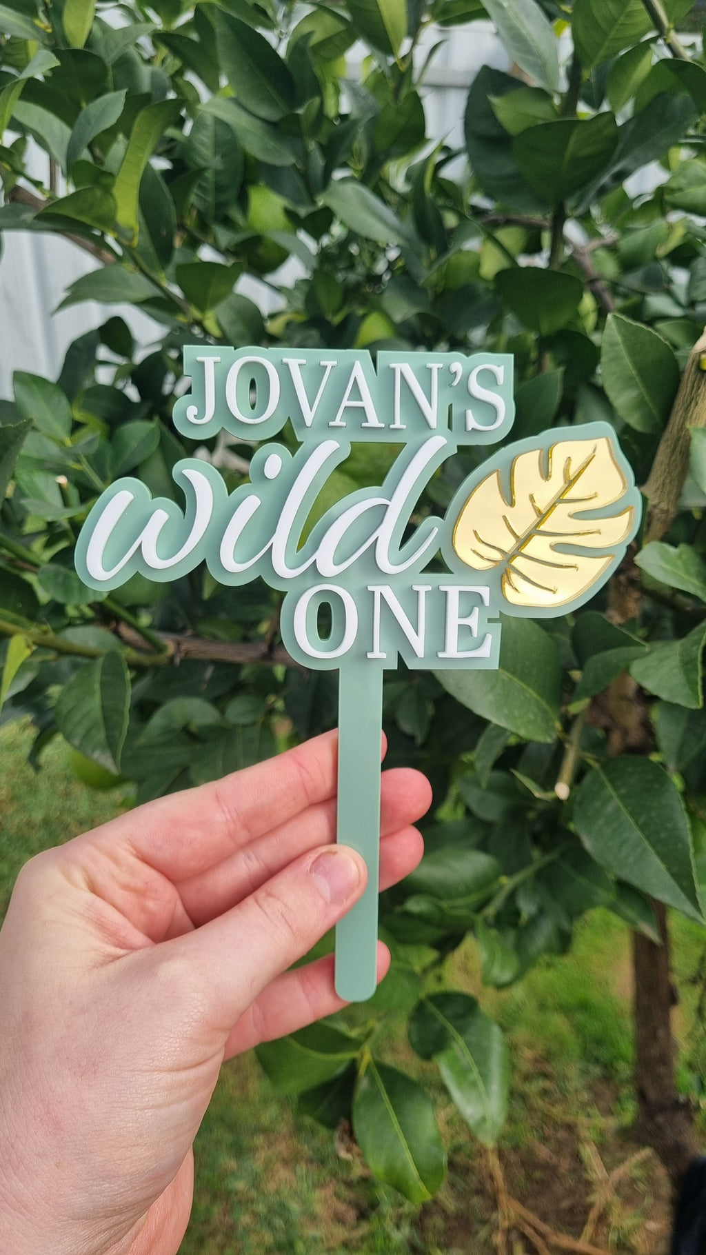 Wild ONE Cake Topper