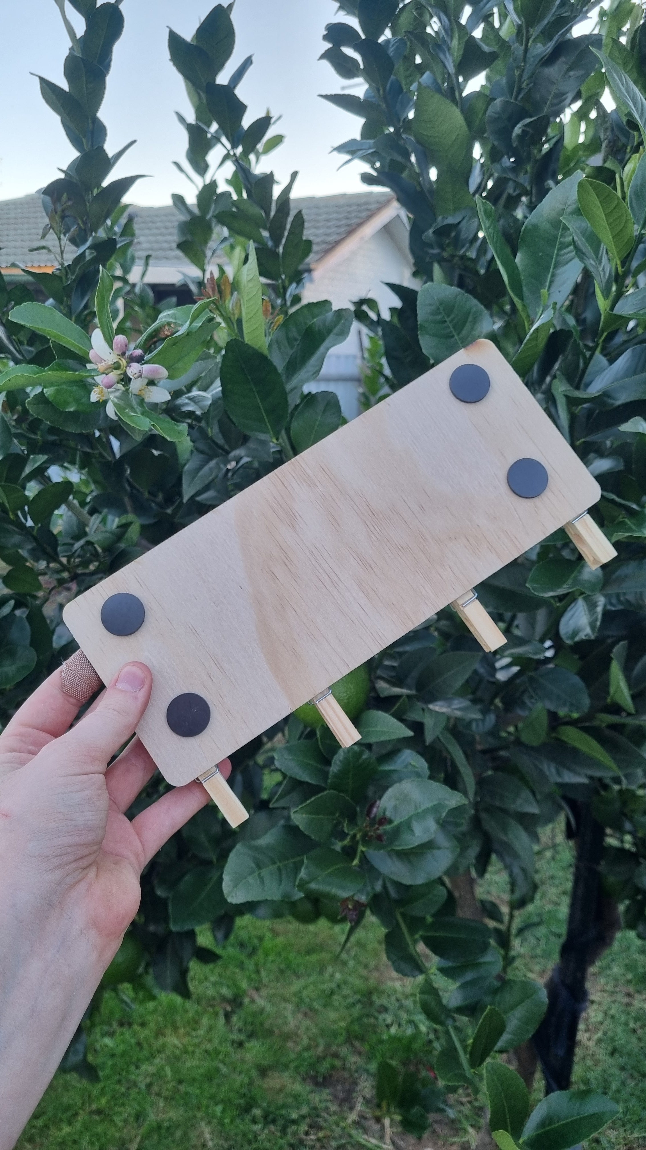 "Look what i made" large peg display