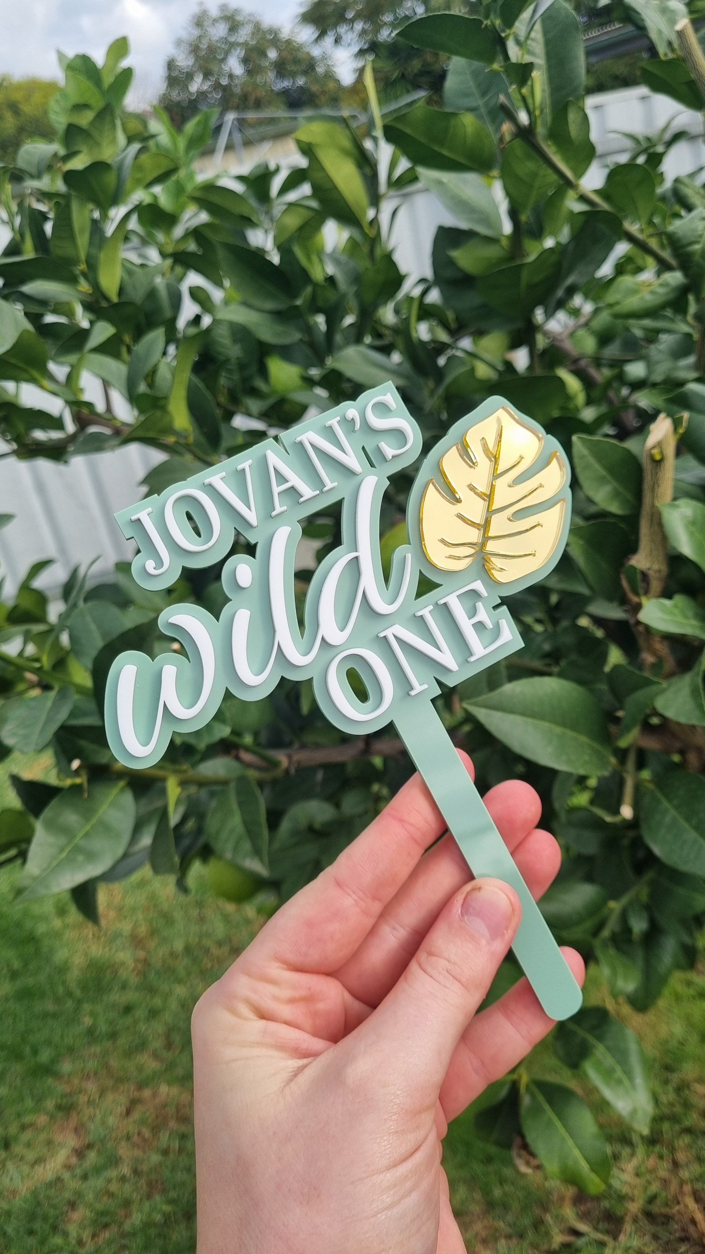 Wild ONE Cake Topper